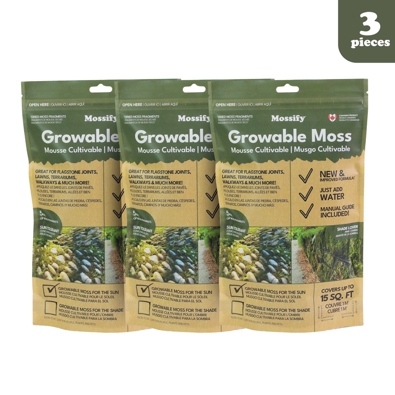 Growable Moss for the Sun - Value Pack