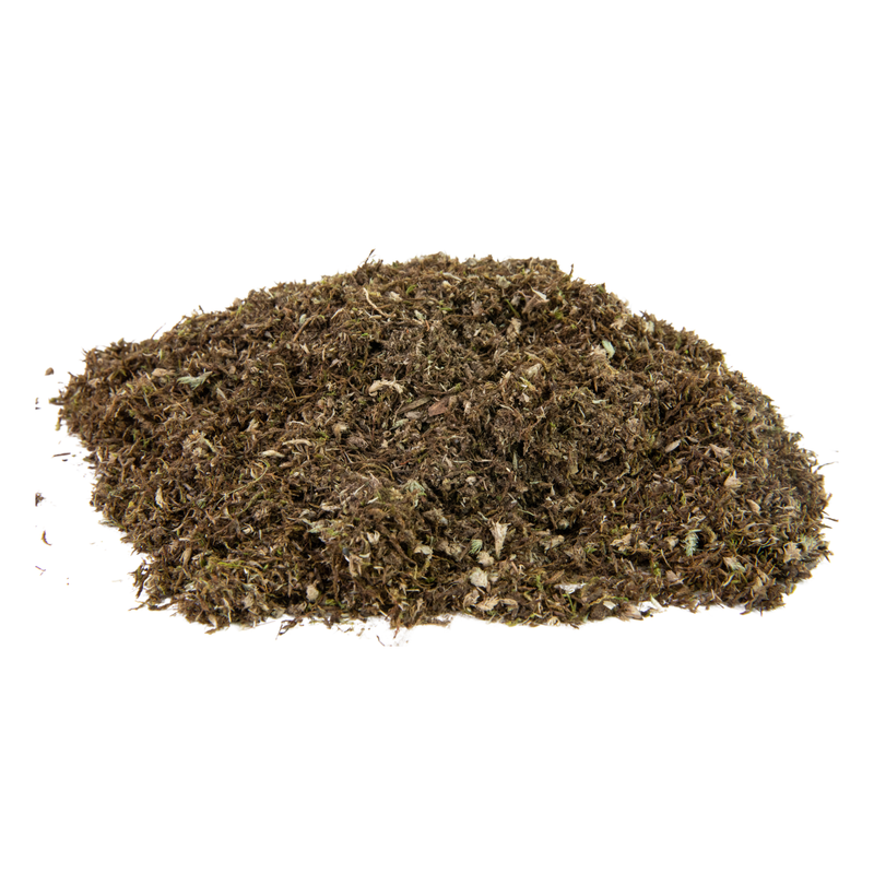 Growable Moss – Boreal & Sphagnum Mix