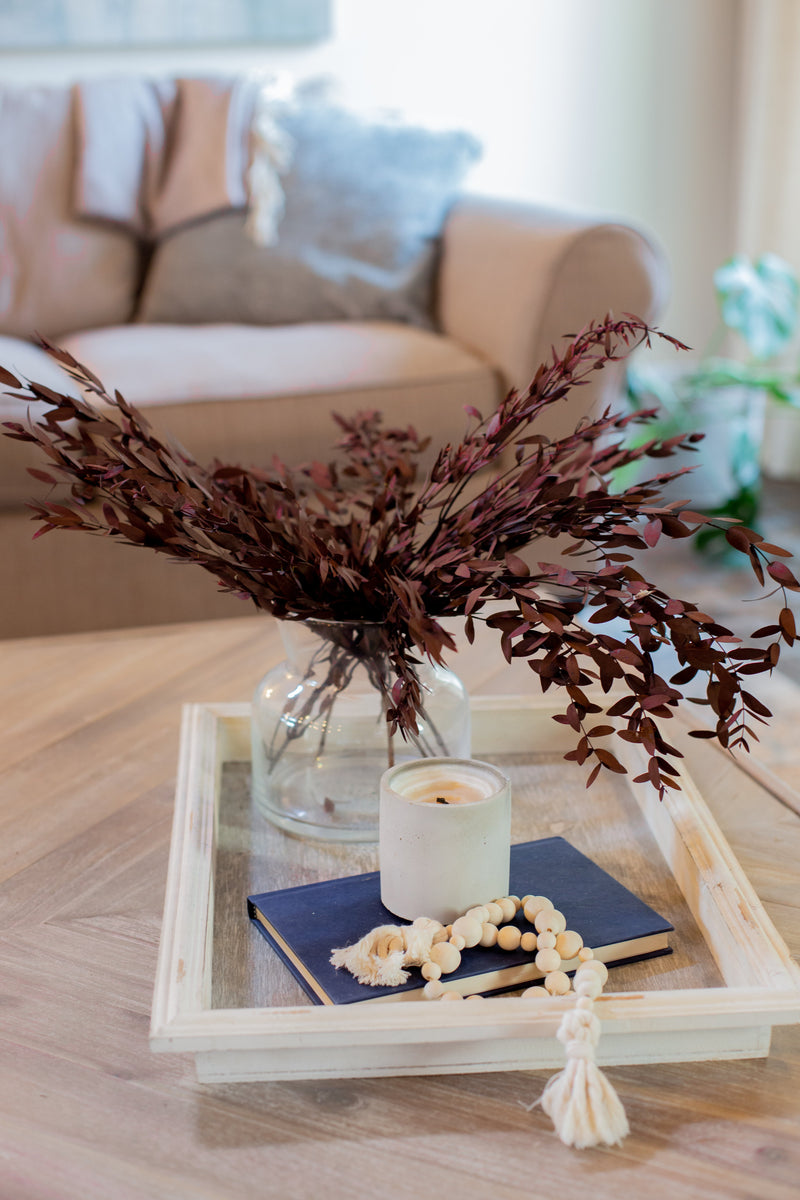 Preserved Short Willow Eucalyptus (Parvifolia)