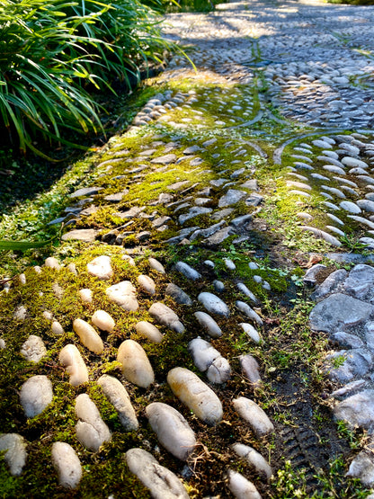Moss-covered stone pathway with greenery on a sunny day