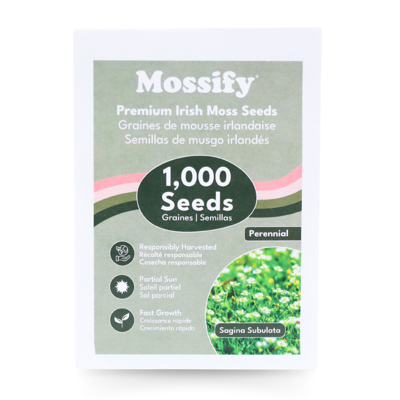 Premium Irish Moss Seeds - Sagina Subulata Seeds - Mossify