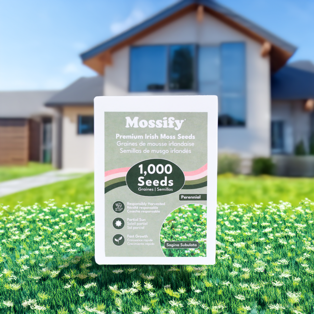 Irish Moss Grower Pack - Mossify
