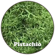 Premium Reindeer Moss Bag (100g & 250g) - NEW! - Mossify