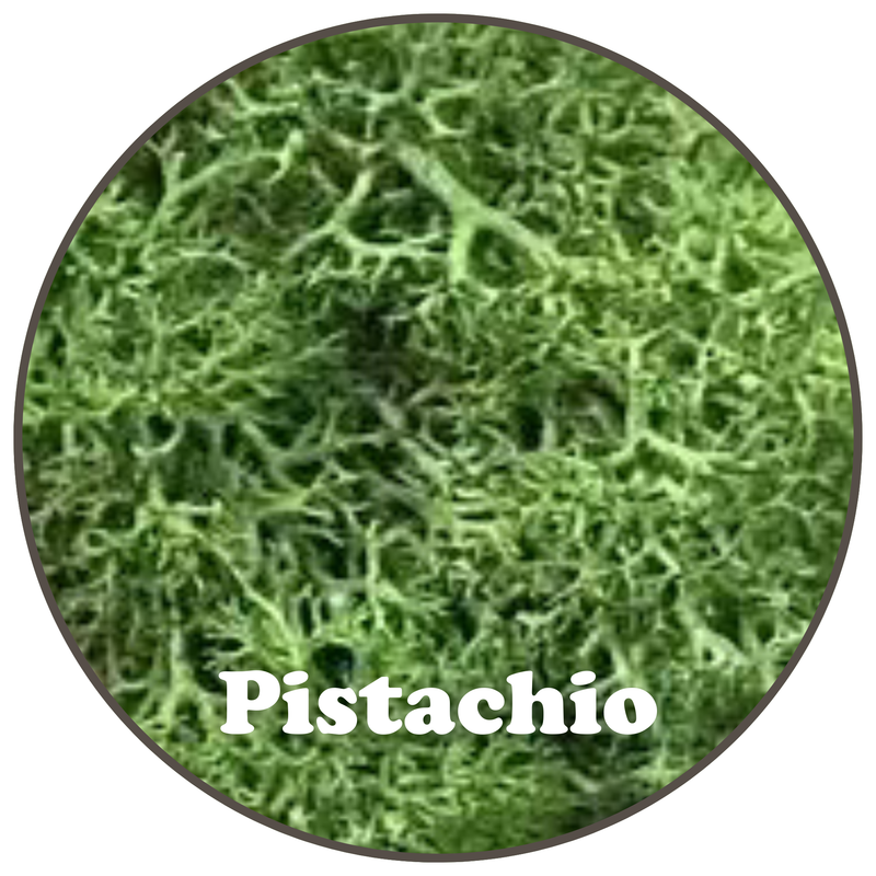 Premium Reindeer Moss Bag (100g & 250g) - NEW! - Mossify