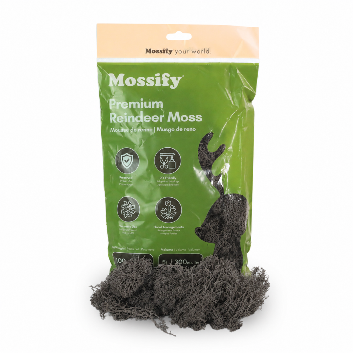 Mossify Premium Reindeer Moss 100 g bag with Ash grey preserved reindeer moss
