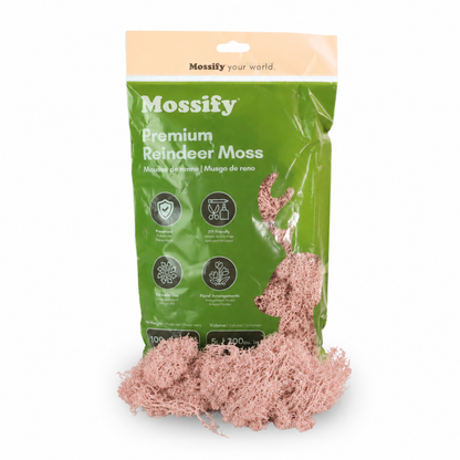 Mossify Premium Reindeer Moss 100 g bag with Blush pink preserved reindeer moss
