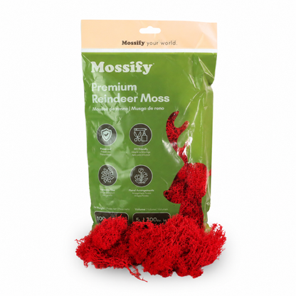 Mossify Premium Reindeer Moss 100 g bag with Crimson red preserved reindeer moss