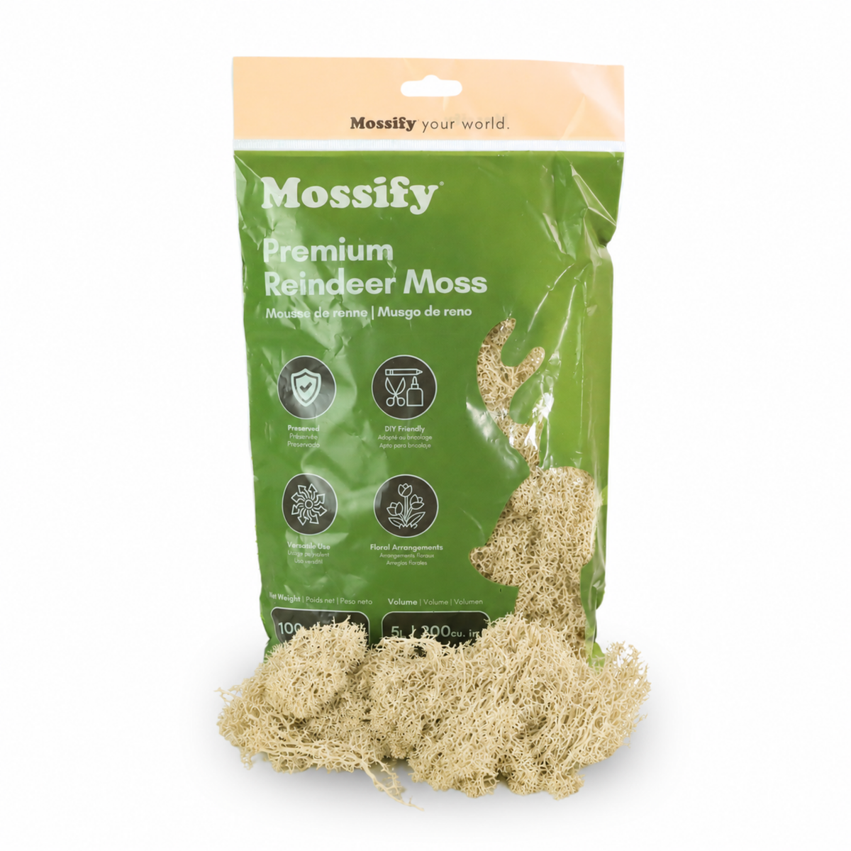 Mossify Premium Reindeer Moss 100 g bag with Champagne preserved reindeer moss