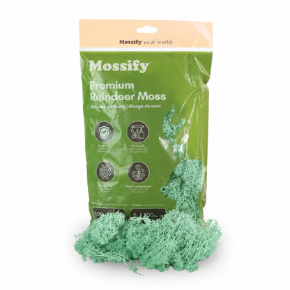Mossify Premium Reindeer Moss 100 g bag with Fern green preserved reindeer moss