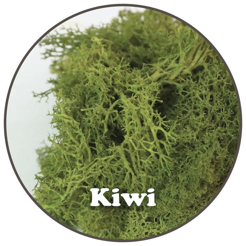 Premium Reindeer Moss Bag (100g & 250g) - NEW!