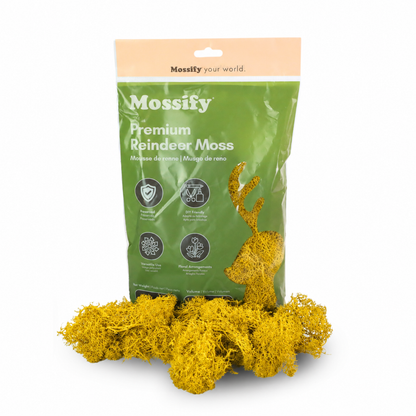 Mossify Premium Reindeer Moss 100 g bag with Lemon yellow preserved reindeer moss