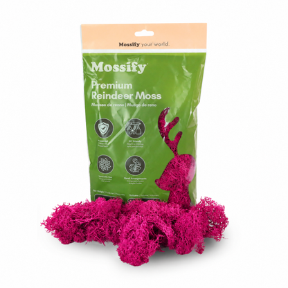 Mossify Premium Reindeer Moss 100 g bag with Magenta preserved reindeer moss