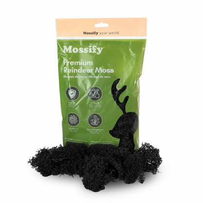Mossify Premium Reindeer Moss 100 g bag with Onyx black preserved reindeer moss