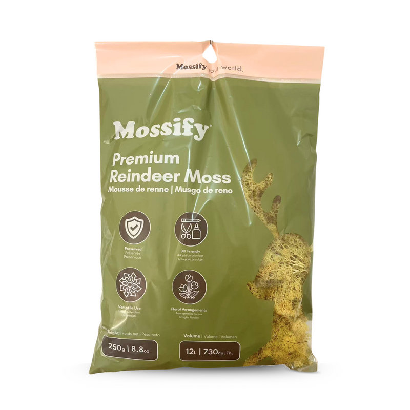 Premium Reindeer Moss Bag (100g & 250g) - NEW! - Mossify