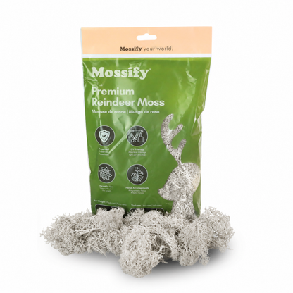 Mossify Premium Reindeer Moss 100 g bag with Snow white preserved reindeer moss