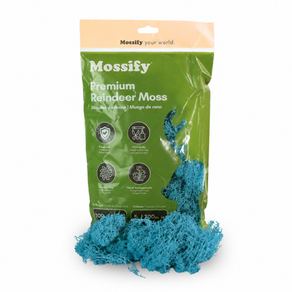 Mossify Premium Reindeer Moss 100 g bag with Teal preserved reindeer moss