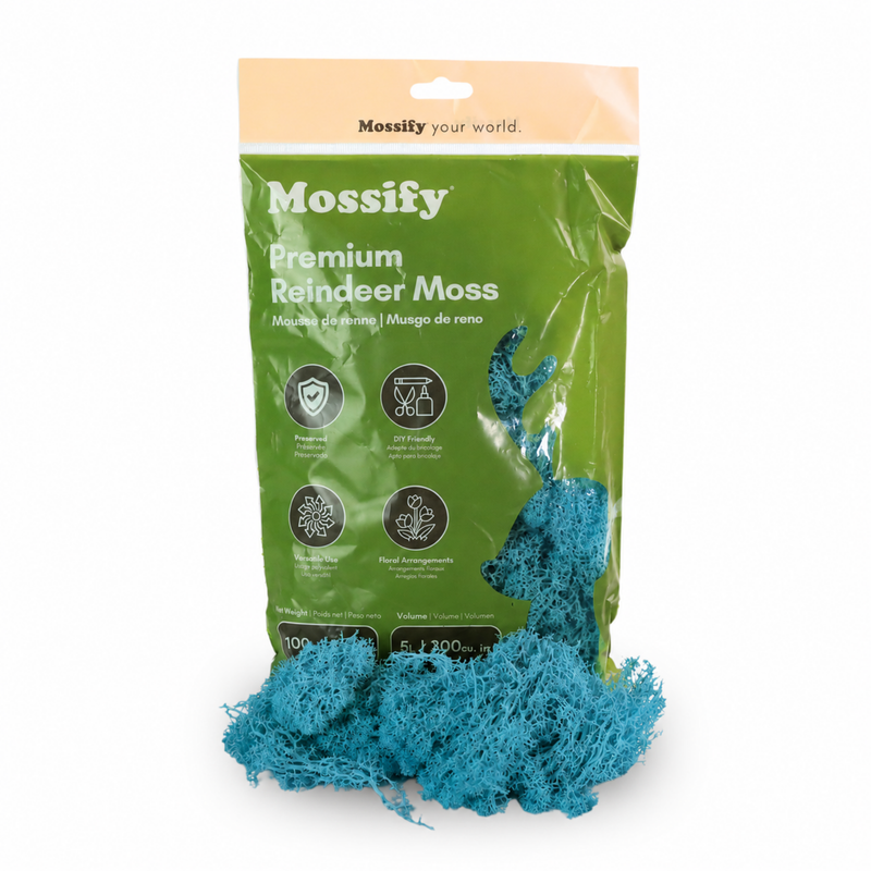Premium Reindeer Moss Bag