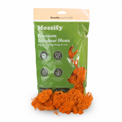 Mossify Premium Reindeer Moss 100 g bag with Tangerine orange preserved reindeer moss