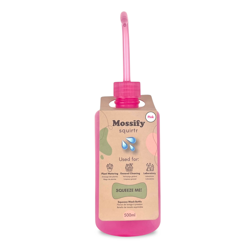 Mossify squirtr - Mossify