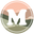 Multi-award winning garden products. logo