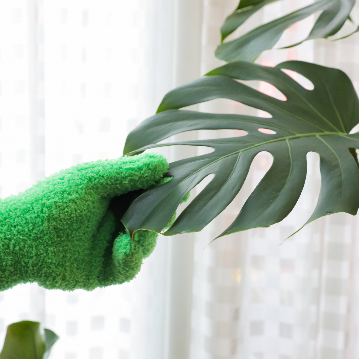 3 Pairs Leaf Shining Microfiber Gloves - Mossify