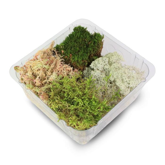 Revita-Moss Mixed Pack