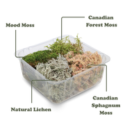 Revita-Moss Mixed Pack - Mossify