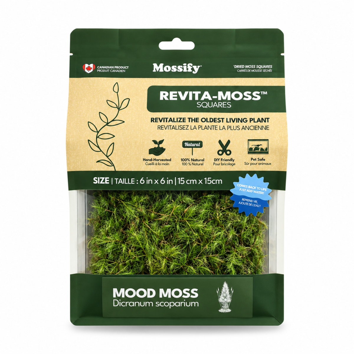 Revita-Moss Mood Moss (Dicranum scoparium) 6 x 6 inch square in its 2026 package