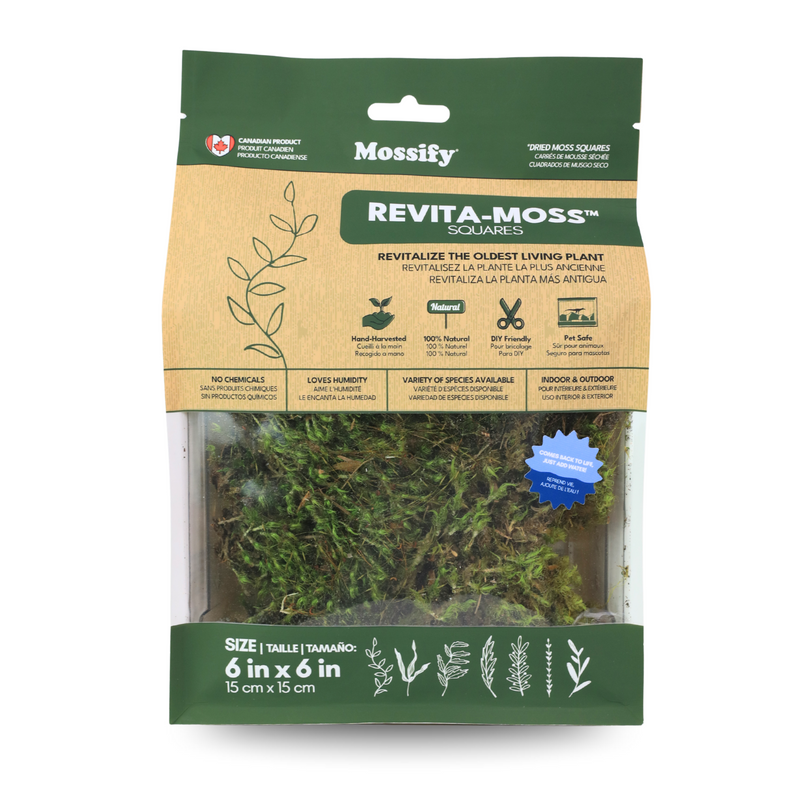 Mood Moss - Revita-Moss (Dicranum) - Mossify