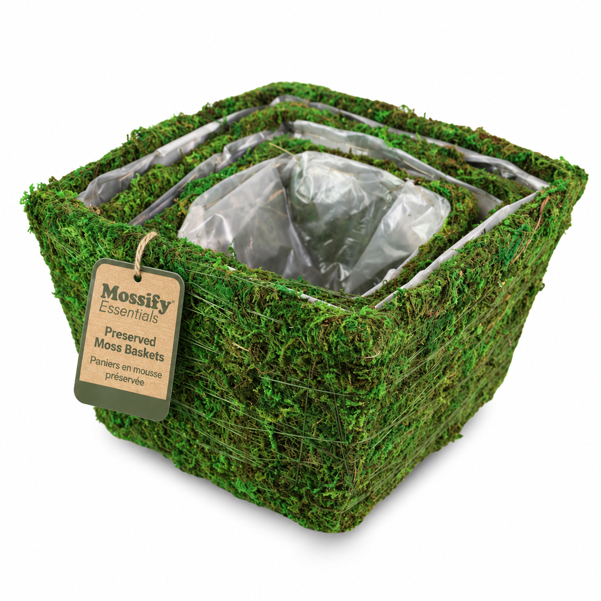 Rustic Square Moss Planter (Set of 3)