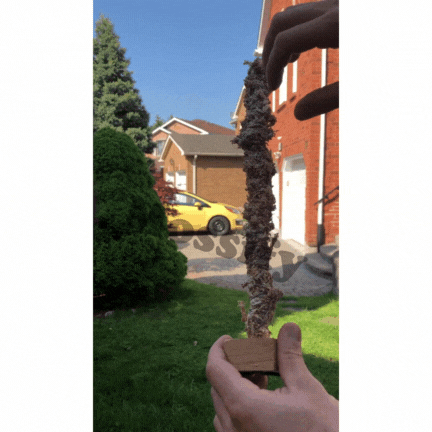 The Bendable Moss Pole™