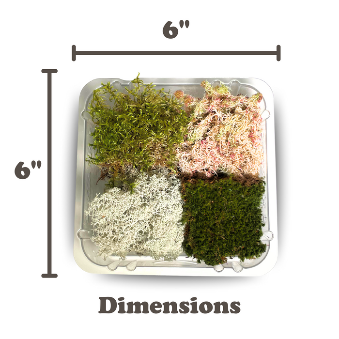 Revita-Moss Mixed Pack