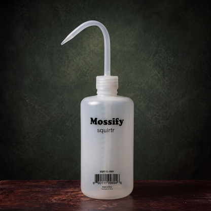 Mossify squirtr