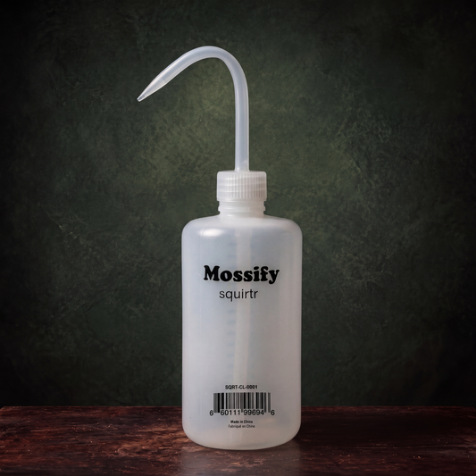 Mossify squirtr