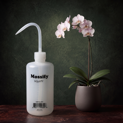 Mossify squirtr