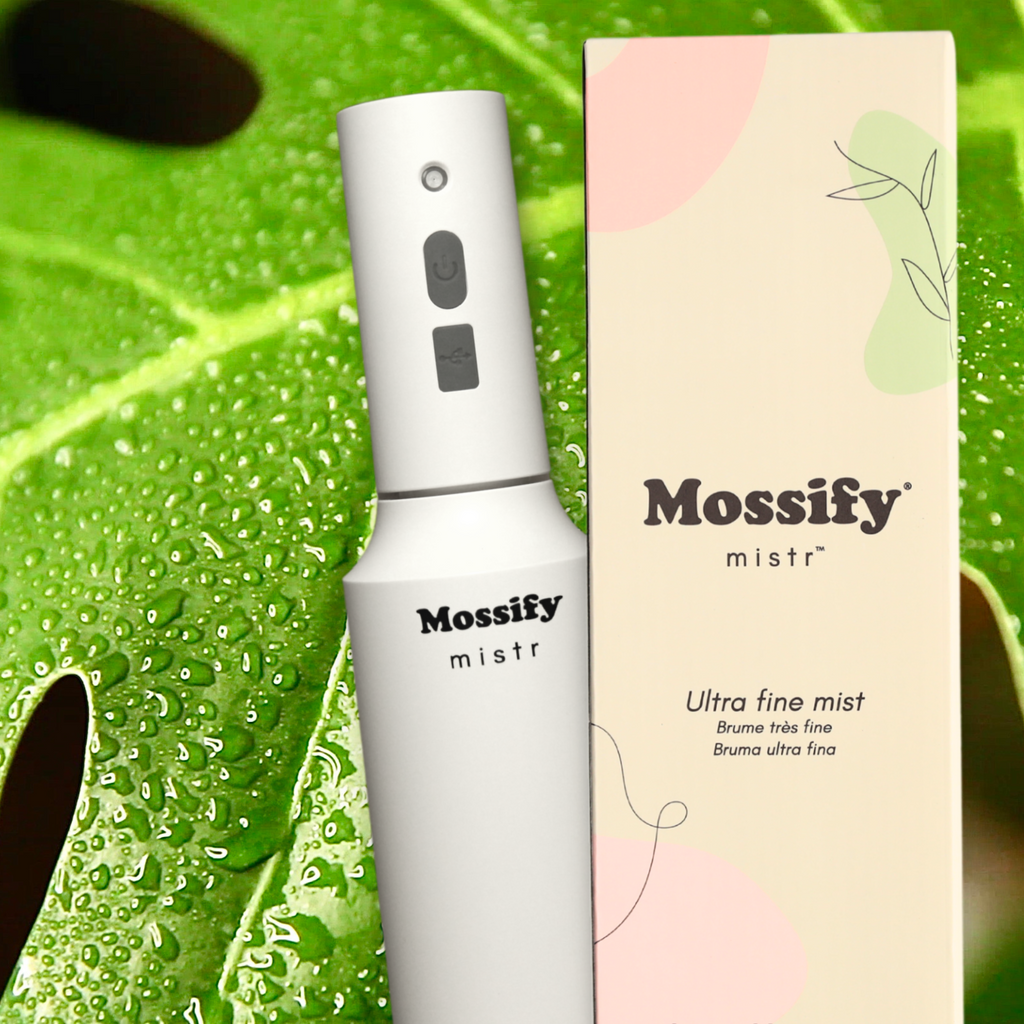 Multi-award winning indoor garden accessories. — Mossify