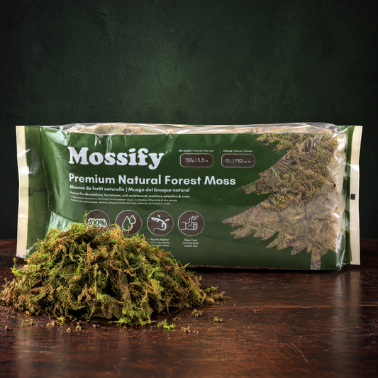 Mousse de forêt naturelle de qualité supérieure