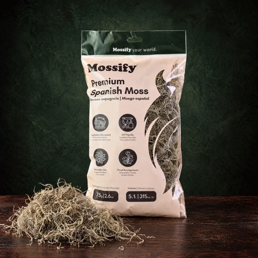 Premium Spanish Moss