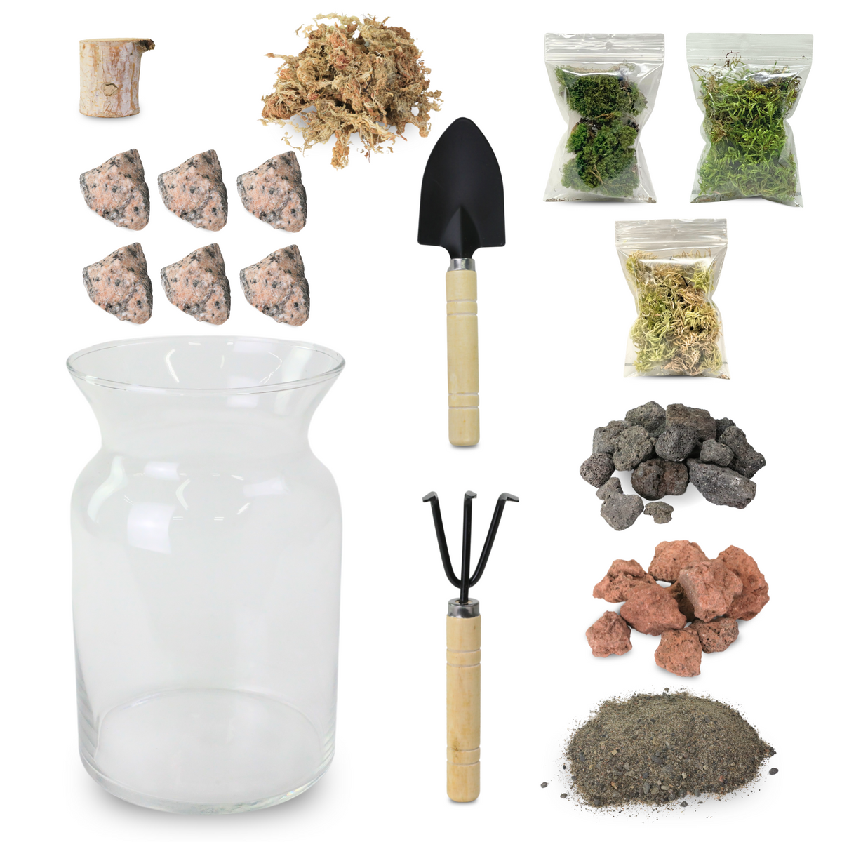 Mossify Terrarium Kit - Mossify