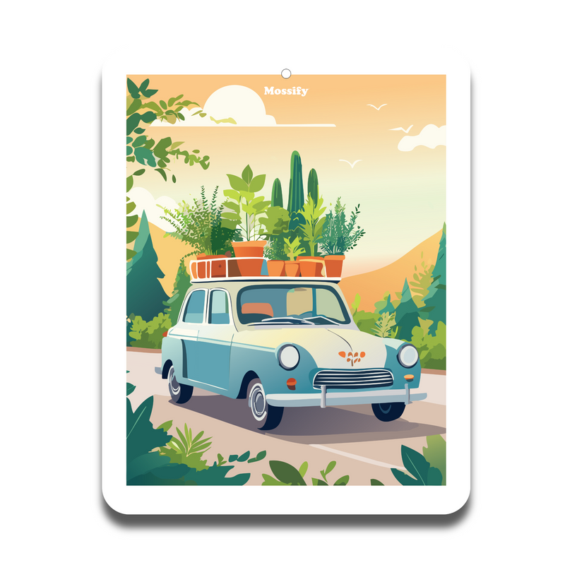 Mossify Air Fresheners - Mossify