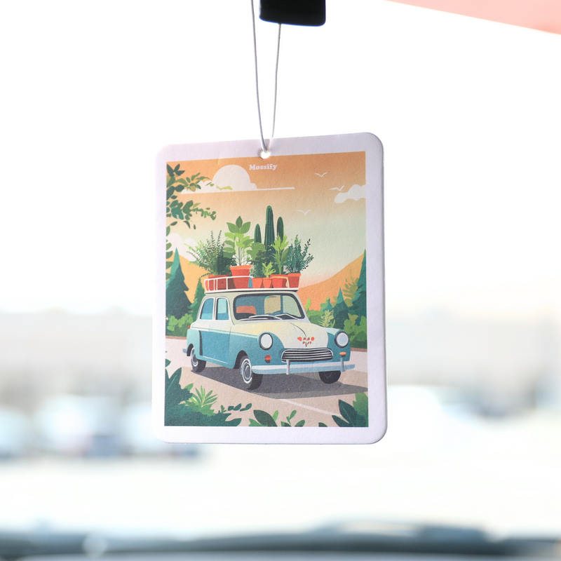 Mossify Air Fresheners - Mossify