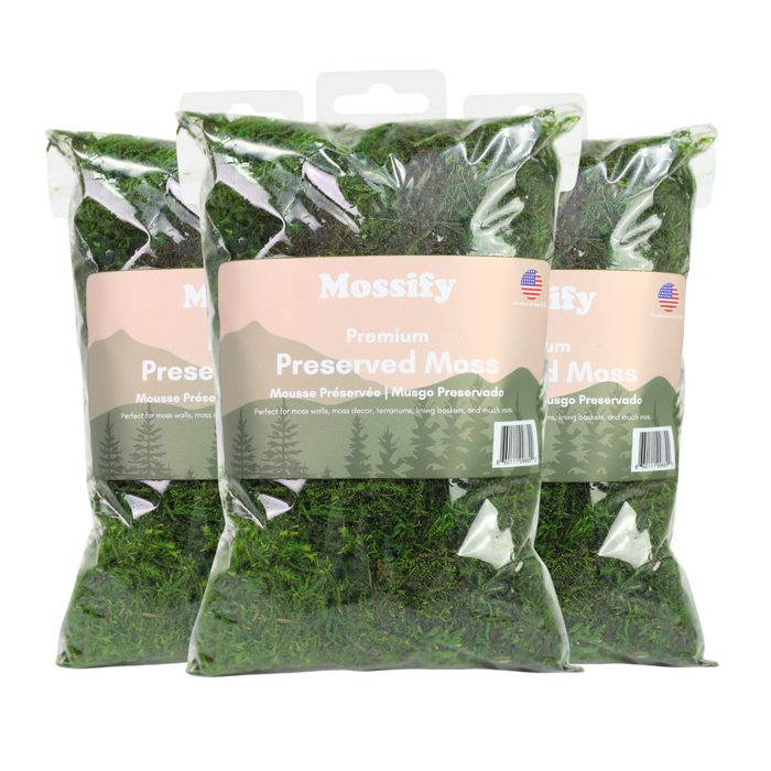 6 Pack - Premium Preserved Moss Mix