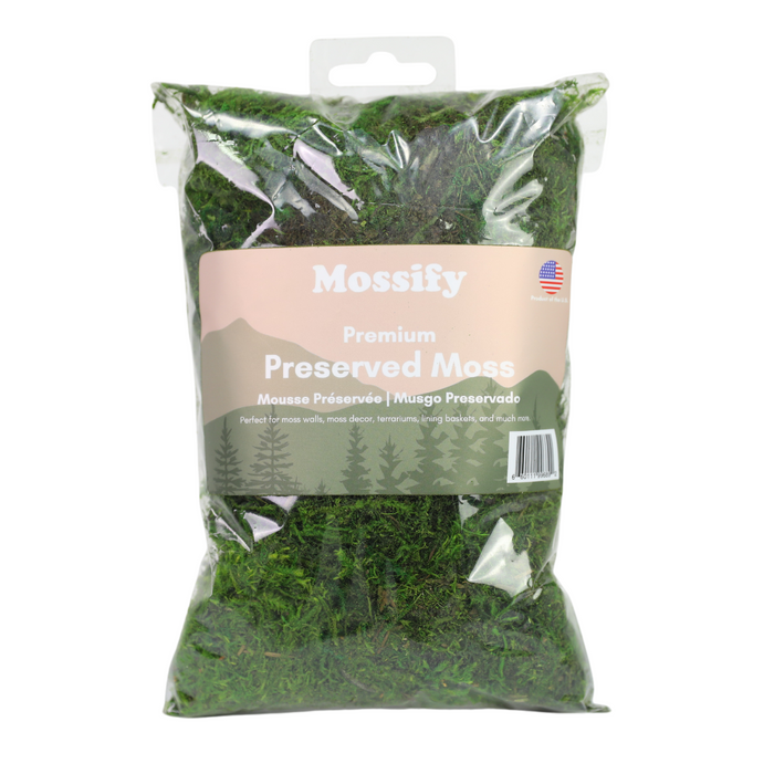 Premium Preserved Forest Moss
