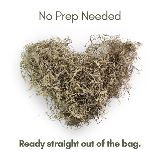 Premium Spanish Moss