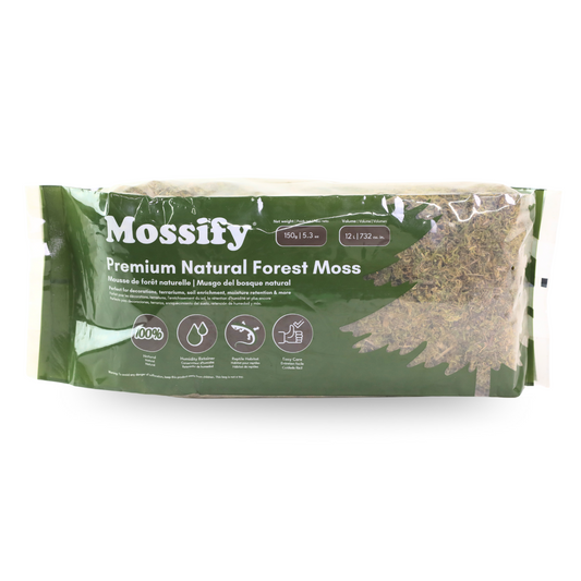 Premium Natural Forest Moss - Mossify