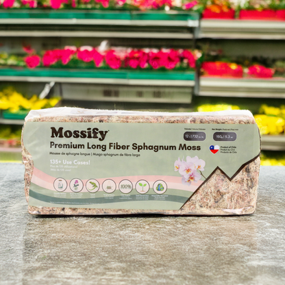 Premium Sphagnum Moss - Mossify