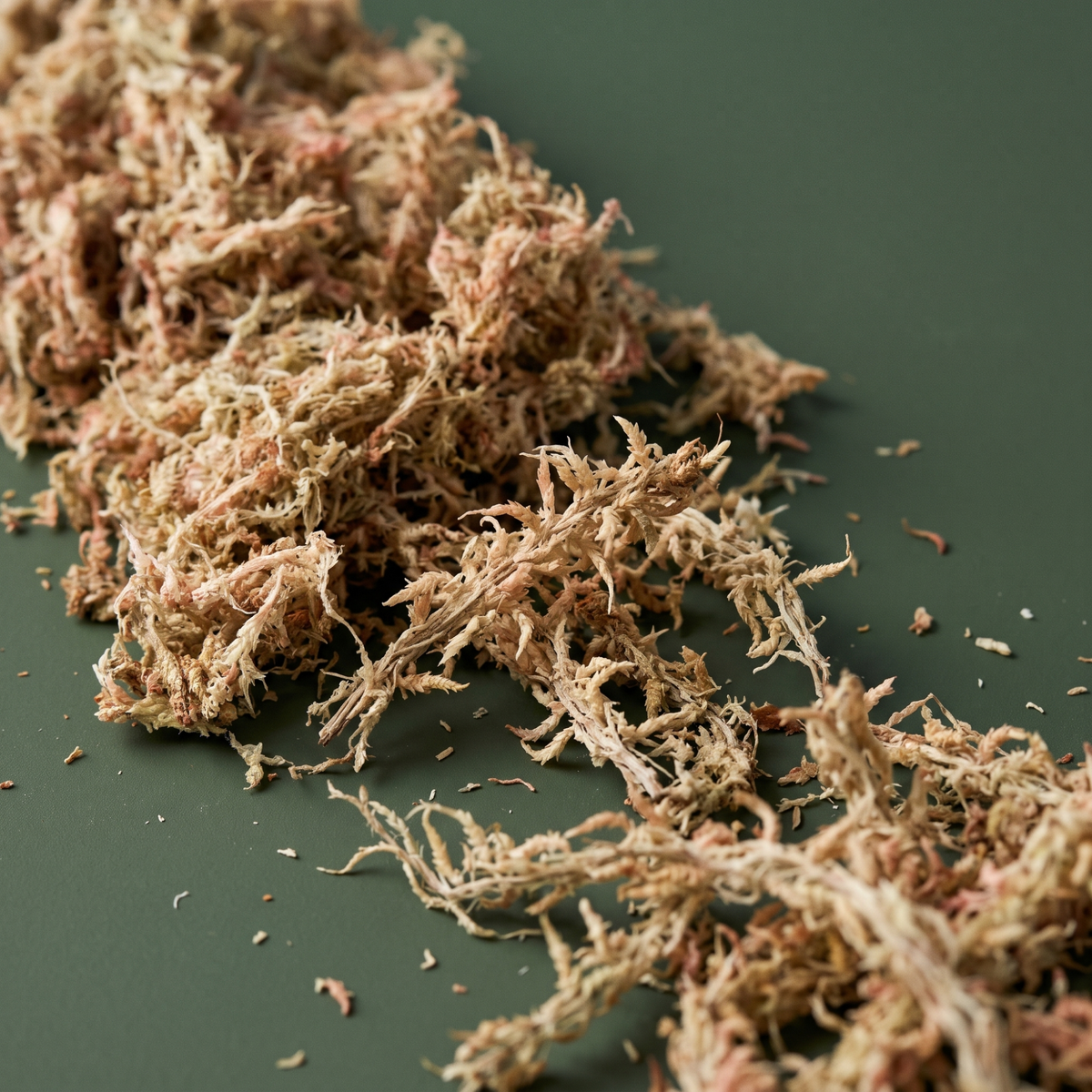 Premium Sphagnum Moss