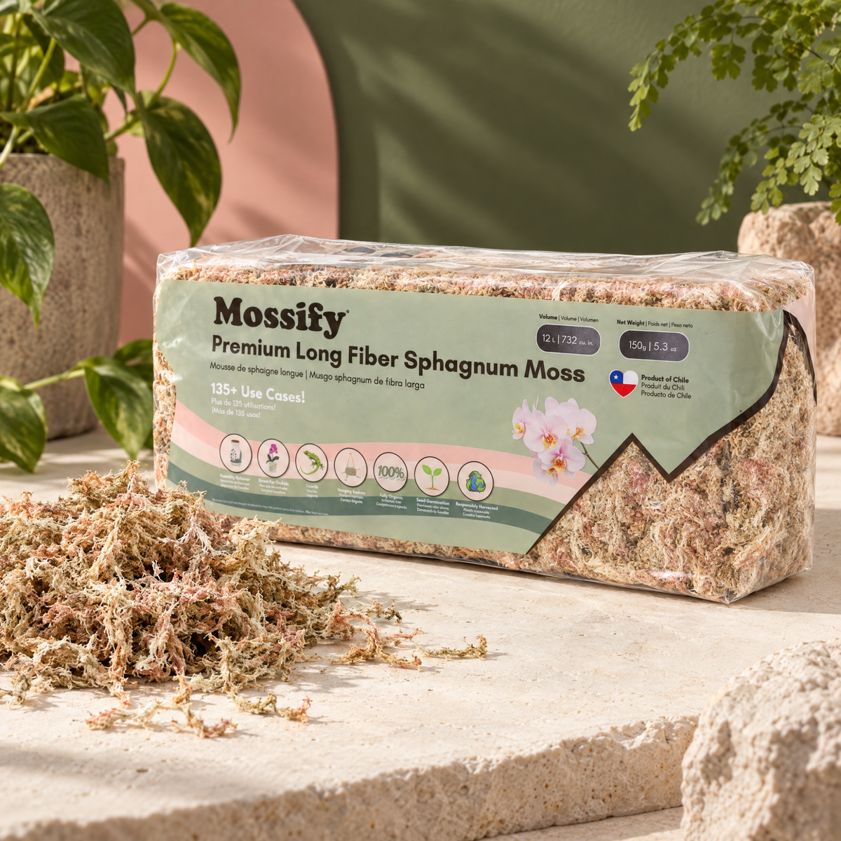 Premium Sphagnum Moss