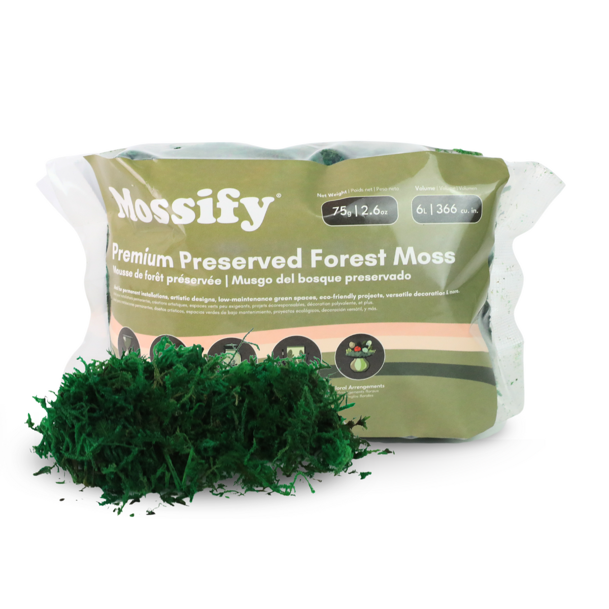 Premium Preserved Forest Moss - Mossify