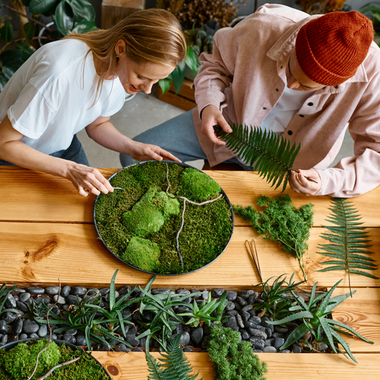 Premium Preserved Reindeer Moss - Mossify